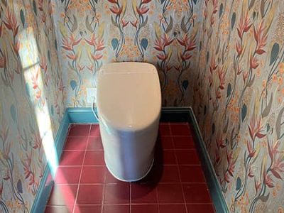 Modern Toilet Installation