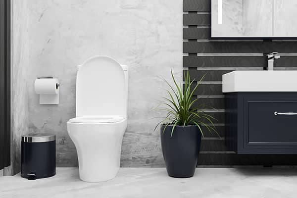 Residential and Commercial Toilet Installation Services Residential and Commercial Toilet Installation Services